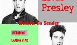 elvis在线观看,在线观看Elvis带你领略摇滚传奇